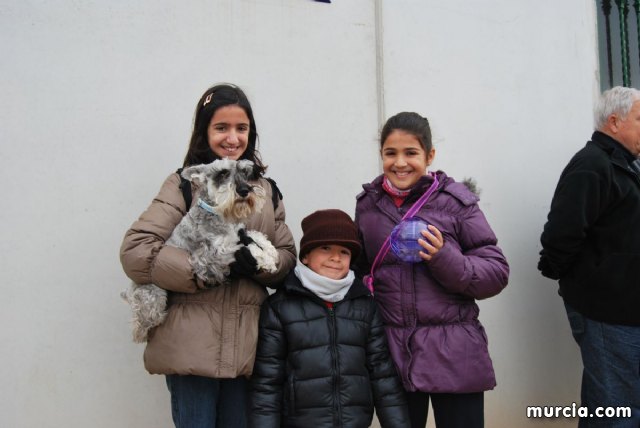 Fiesta de San Anton en Tebar - 22