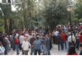 Manifestacin ElPozo - 15