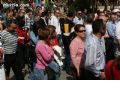 Manifestacin ElPozo - 103