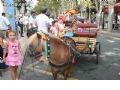 Feria de Ganado - 37
