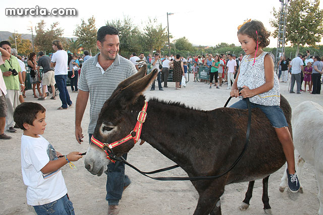 XV Feria de Ganado de Murcia - Feria de Septiembre 2009 - 184