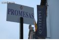 Procesión de los Salzillos - 8