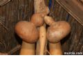Bando de la Huerta - 12
