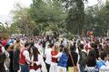 Bando de la Huerta - 43