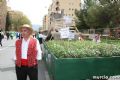 Bando de la Huerta - 79