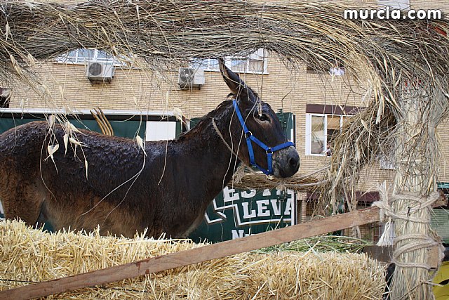 Bando de la Huerta 2011 - 72