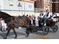 Bando de la Huerta 2011 - 402
