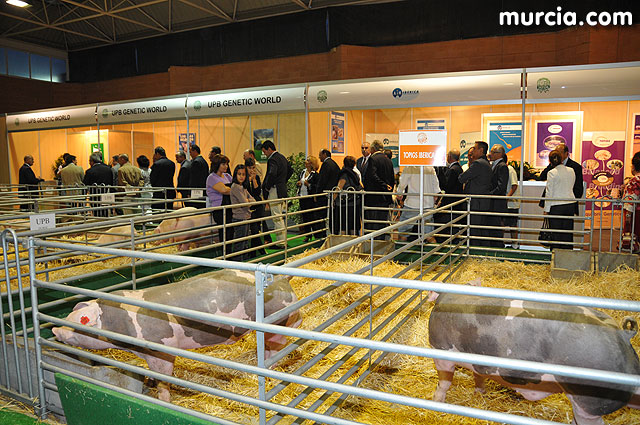 Feria de ganado porcino en Lorca SEPOR 2009 - 37