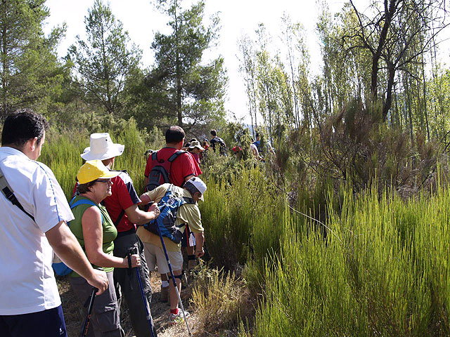 Ruta por la Sierra de la Puerta  - 38