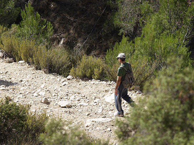 Ruta por la Sierra de la Puerta  - 49