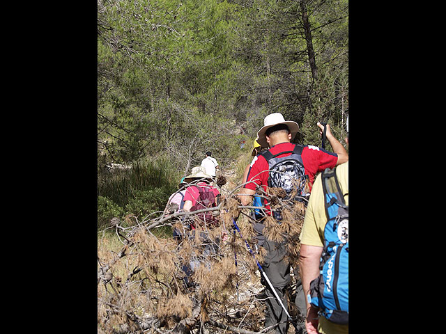 Ruta por la Sierra de la Puerta  - 54