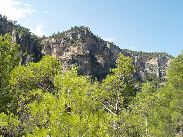 Ruta por la Sierra de la Puerta  - 145