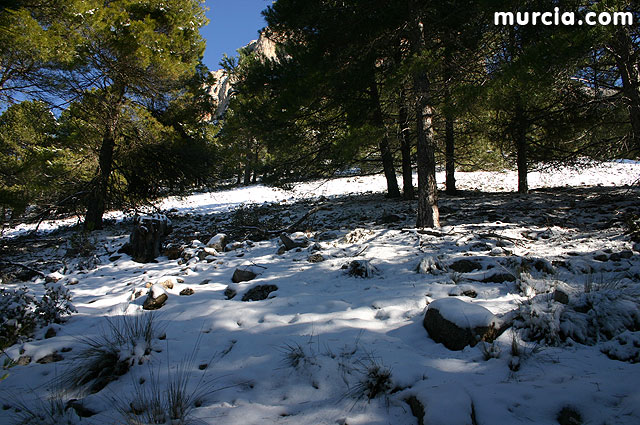 Nieve en Sierra Espuña - 91