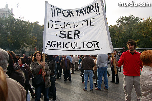 Manifestacin de agricultores en Madrid - 77