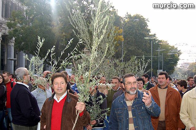 Manifestacin de agricultores en Madrid - 78