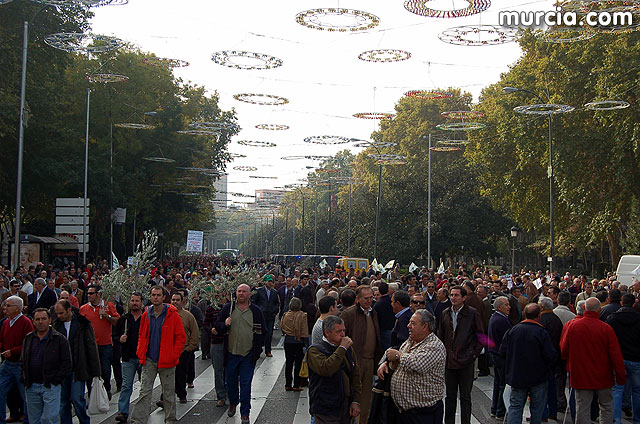 Manifestacin de agricultores en Madrid - 82