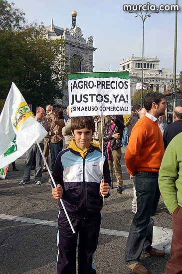 Manifestacin de agricultores en Madrid - 83