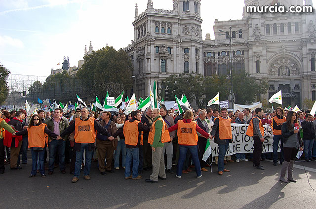 Manifestacin de agricultores en Madrid - 87