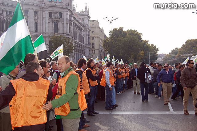 Manifestacin de agricultores en Madrid - 89