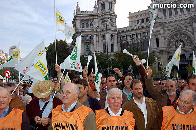 Manifestacin de agricultores en Madrid - 93