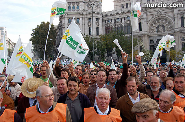 Manifestacin de agricultores en Madrid - 94