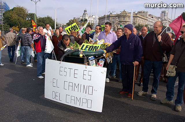 Manifestacin de agricultores en Madrid - 96