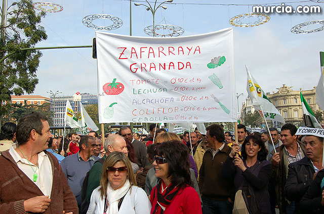 Manifestacin de agricultores en Madrid - 97