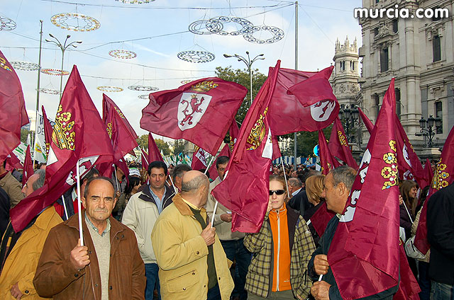 Manifestacin de agricultores en Madrid - 98