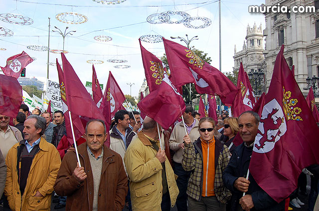 Manifestacin de agricultores en Madrid - 99