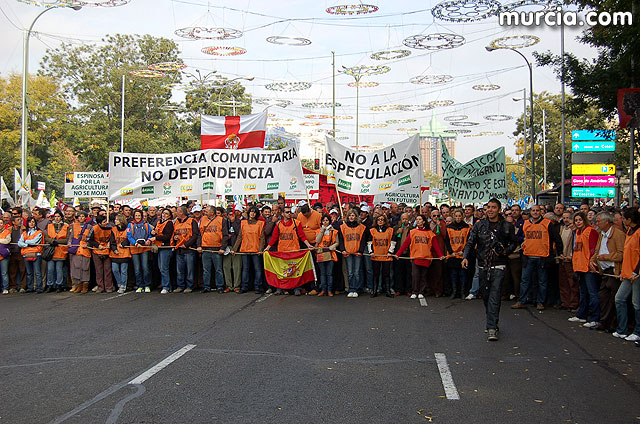 Manifestacin de agricultores en Madrid - 104