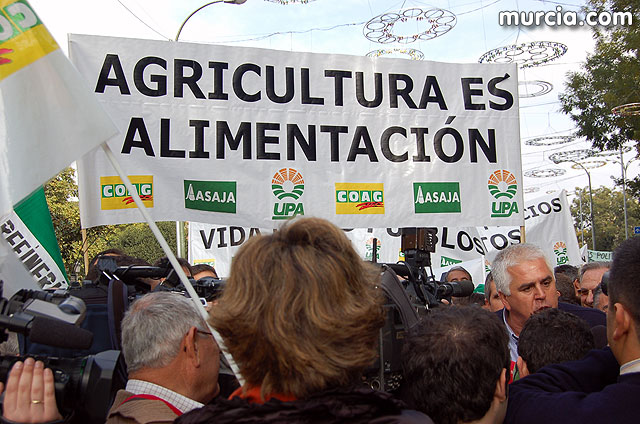 Manifestacin de agricultores en Madrid - 105