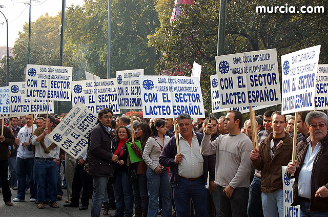 Manifestacin de agricultores en Madrid - 106