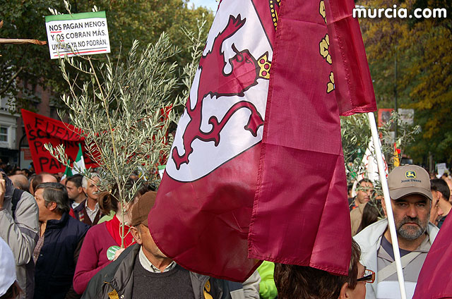Manifestacin de agricultores en Madrid - 135