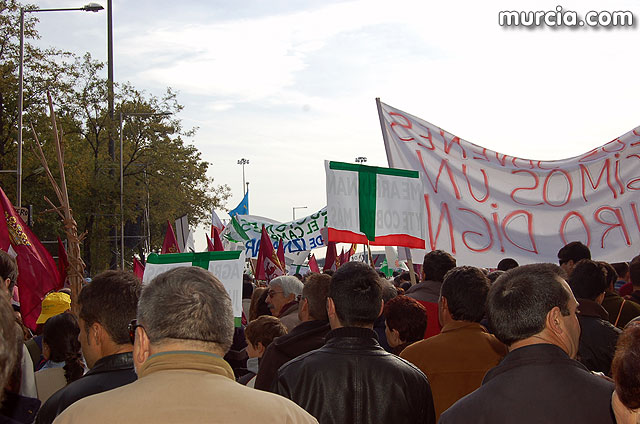 Manifestacin de agricultores en Madrid - 137
