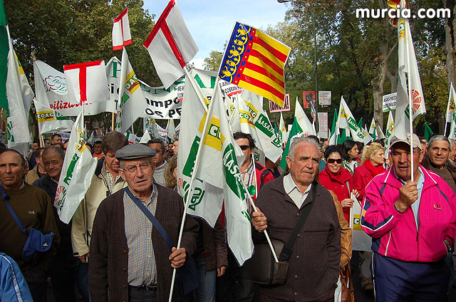Manifestacin de agricultores en Madrid - 190