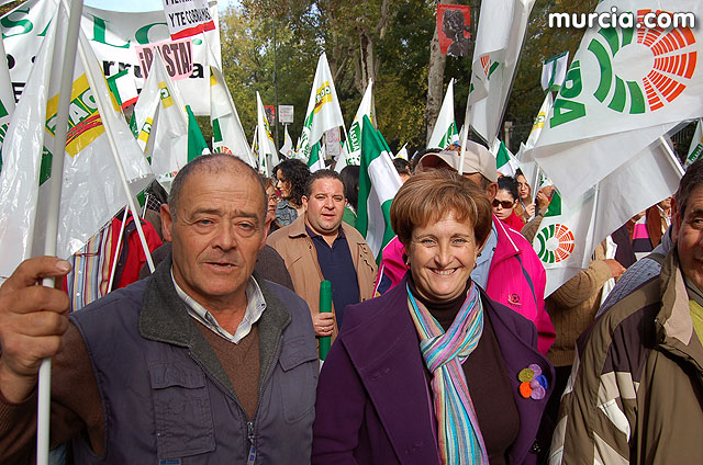 Manifestacin de agricultores en Madrid - 193