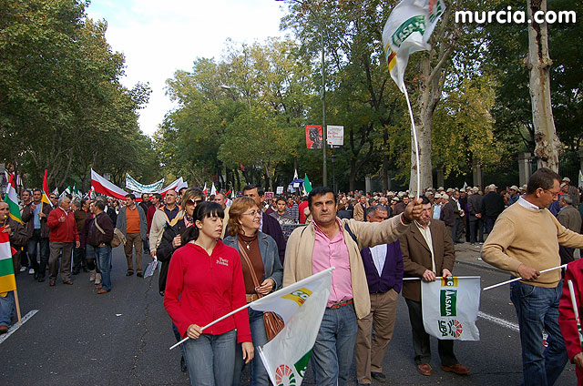 Manifestacin de agricultores en Madrid - 203
