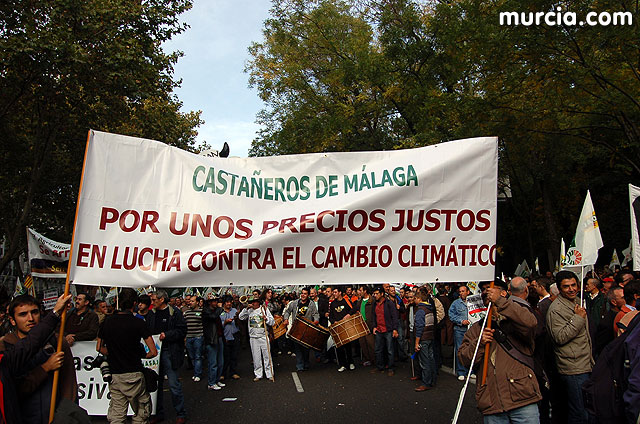 Manifestación de agricultores en Madrid - 229