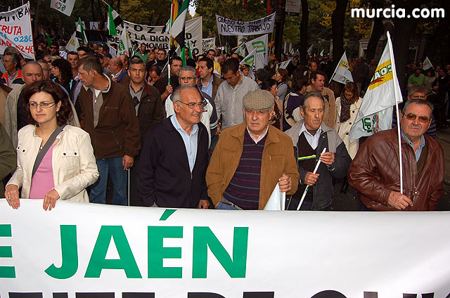 Manifestacin de agricultores en Madrid - 244