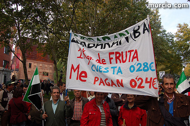 Manifestacin de agricultores en Madrid - 247