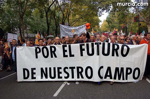 Manifestacin de agricultores en Madrid - 254