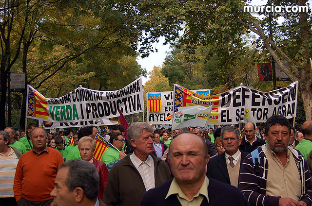 Manifestacin de agricultores en Madrid - 257