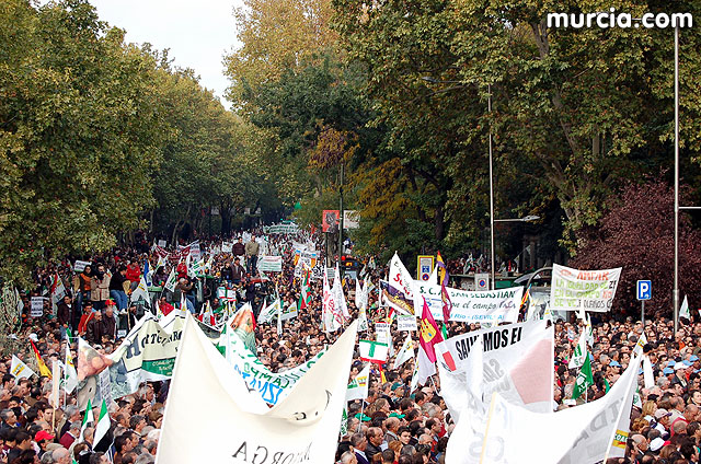 Manifestacin de agricultores en Madrid - 285