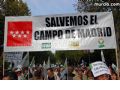Manifestacin en Madrid - 174