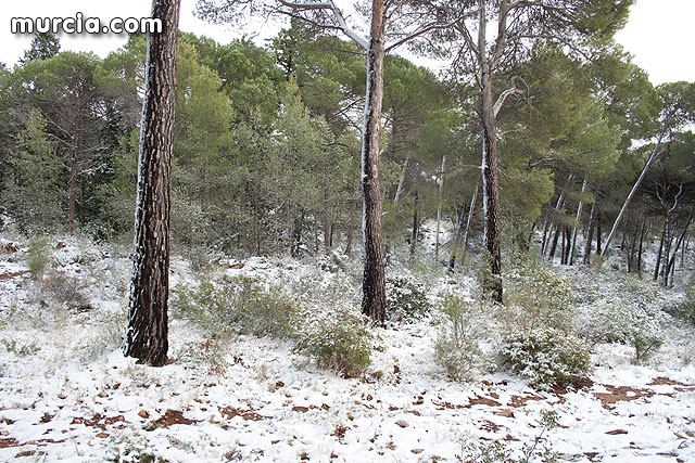 Nieve Sierra Espuña 2009 - 51