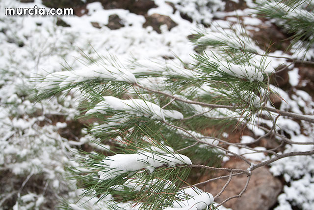 Nieve Sierra Espuña 2009 - 77