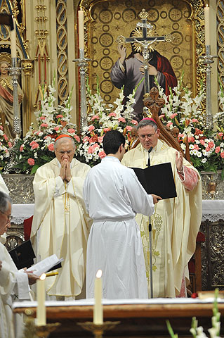 Toma de posesin del nuevo obispo de la dicesis de Cartagena, Jos Manuel Lorca Planes, en la Catedral de Murcia - 293