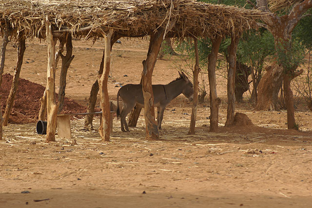 Viaje solidario a Burkina Faso - 80