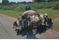 Burkina Faso - 10