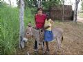 Burkina Faso - 12